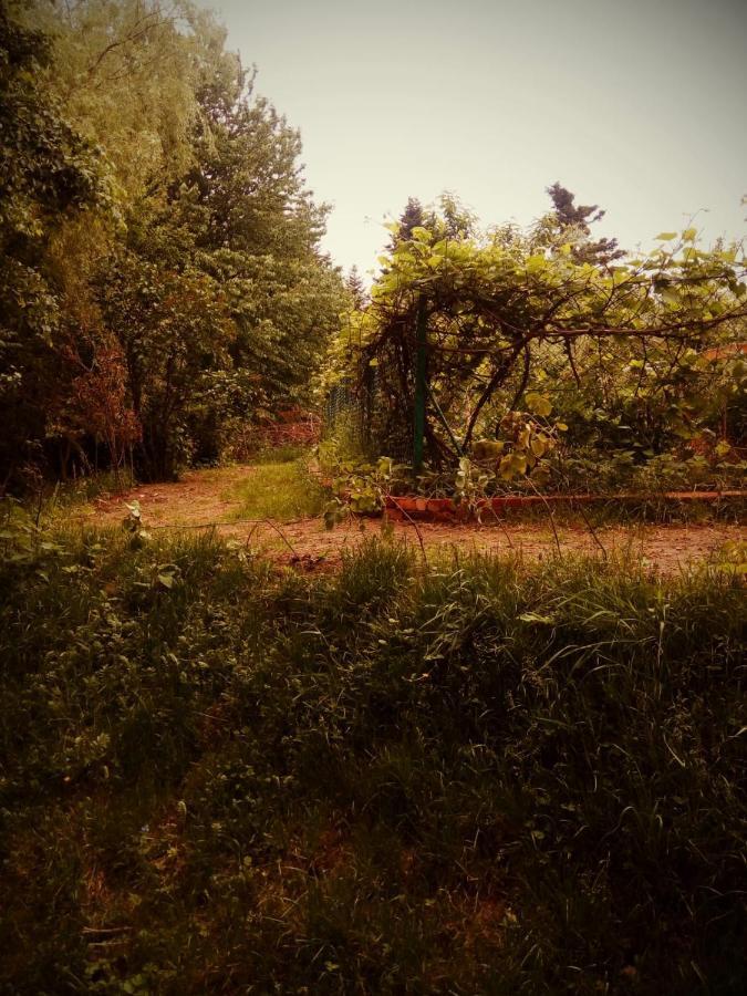 Agroturystyka U Babci Czchow Extérieur photo