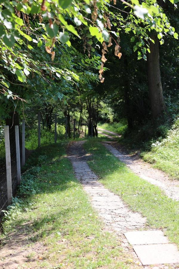 Agroturystyka U Babci Czchow Extérieur photo