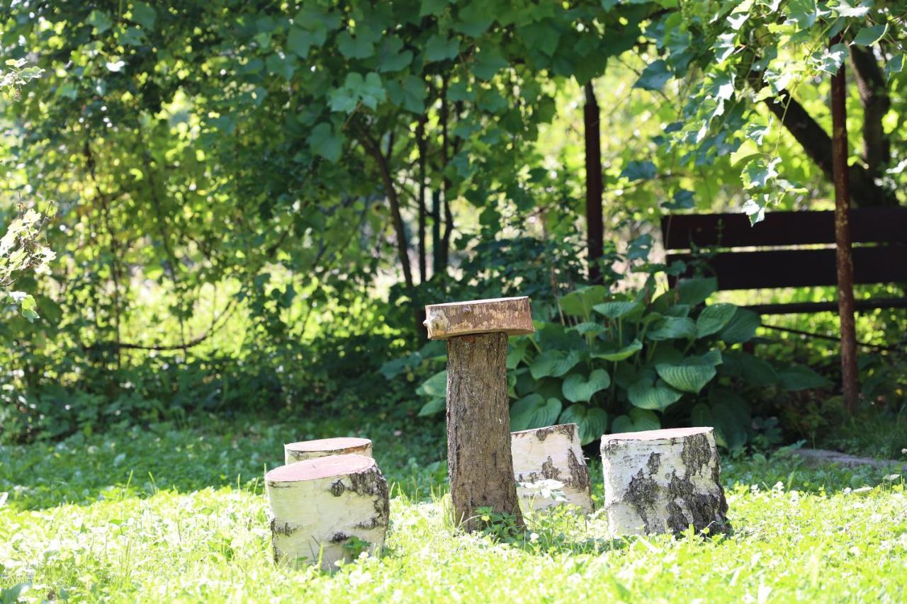 Agroturystyka U Babci Czchow Extérieur photo