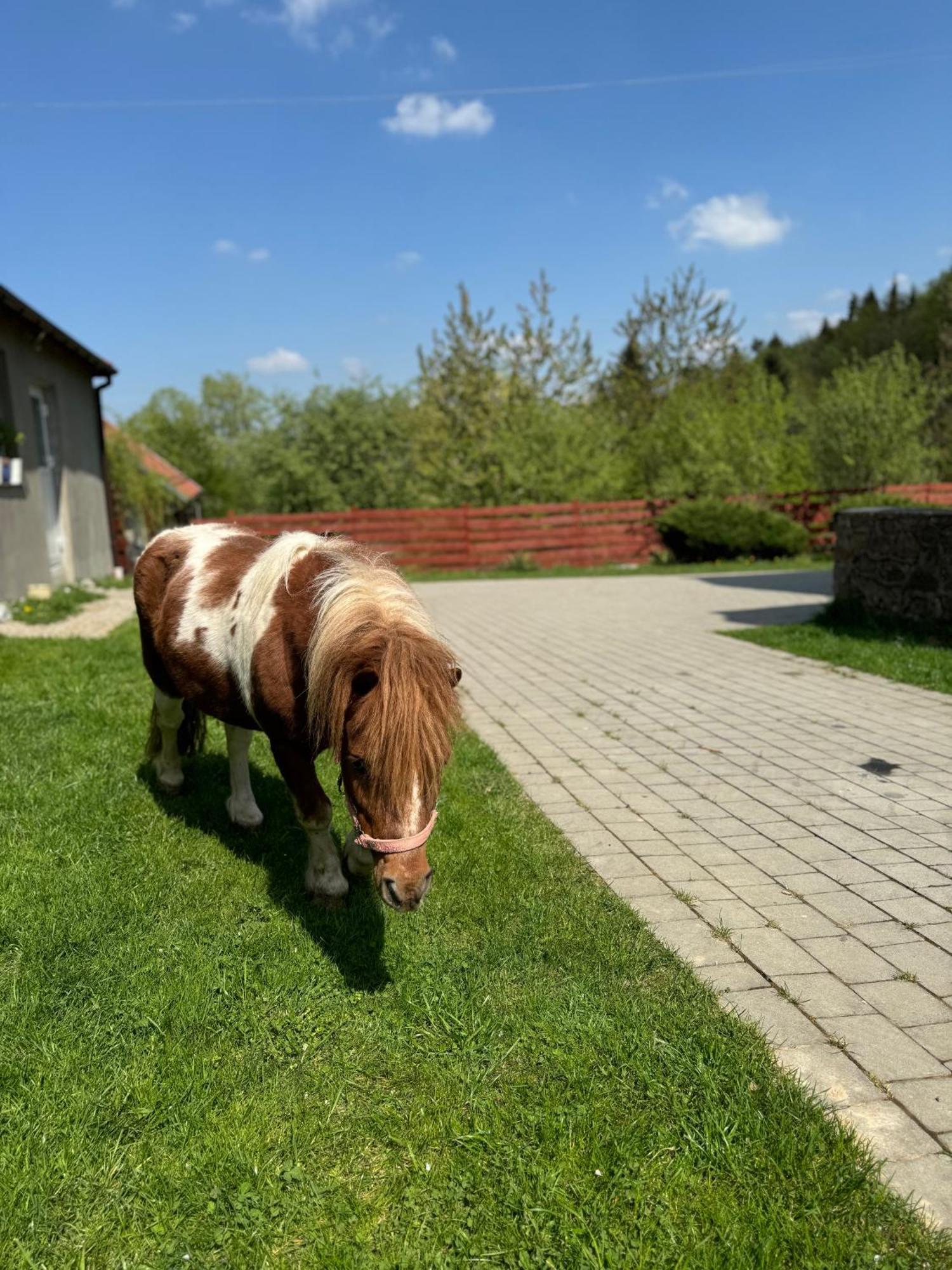 Agroturystyka U Babci Czchow Extérieur photo